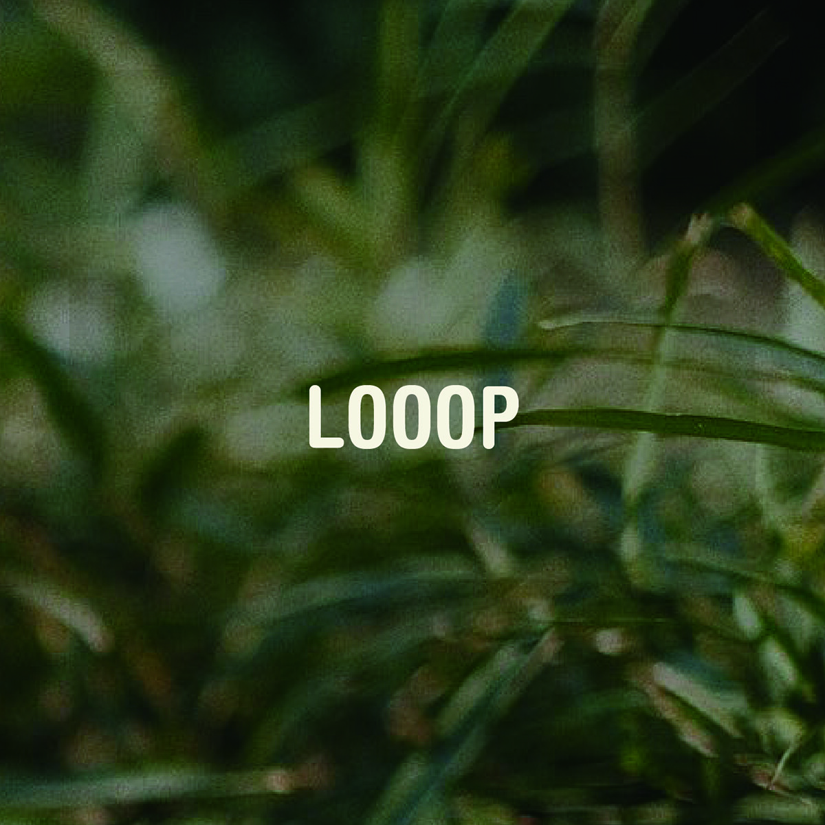 LOOOP